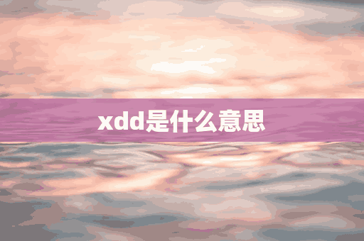 xdd是什么意思